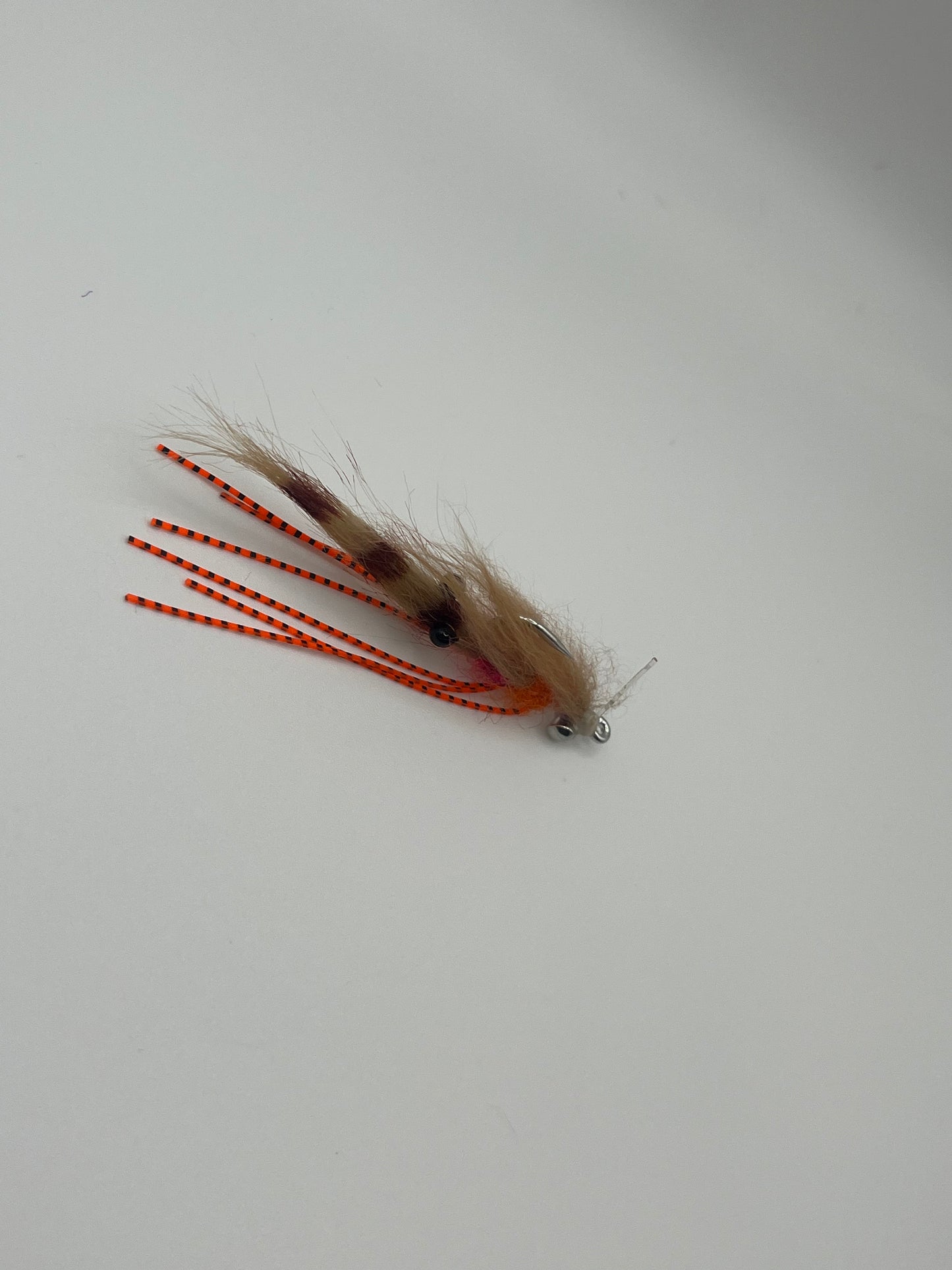 EP Shrimp Slider