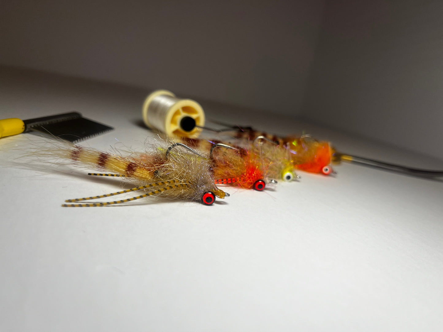Coon Shrimp