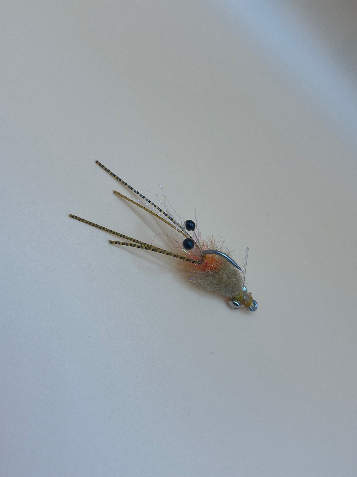 EP Spawning Shrimp