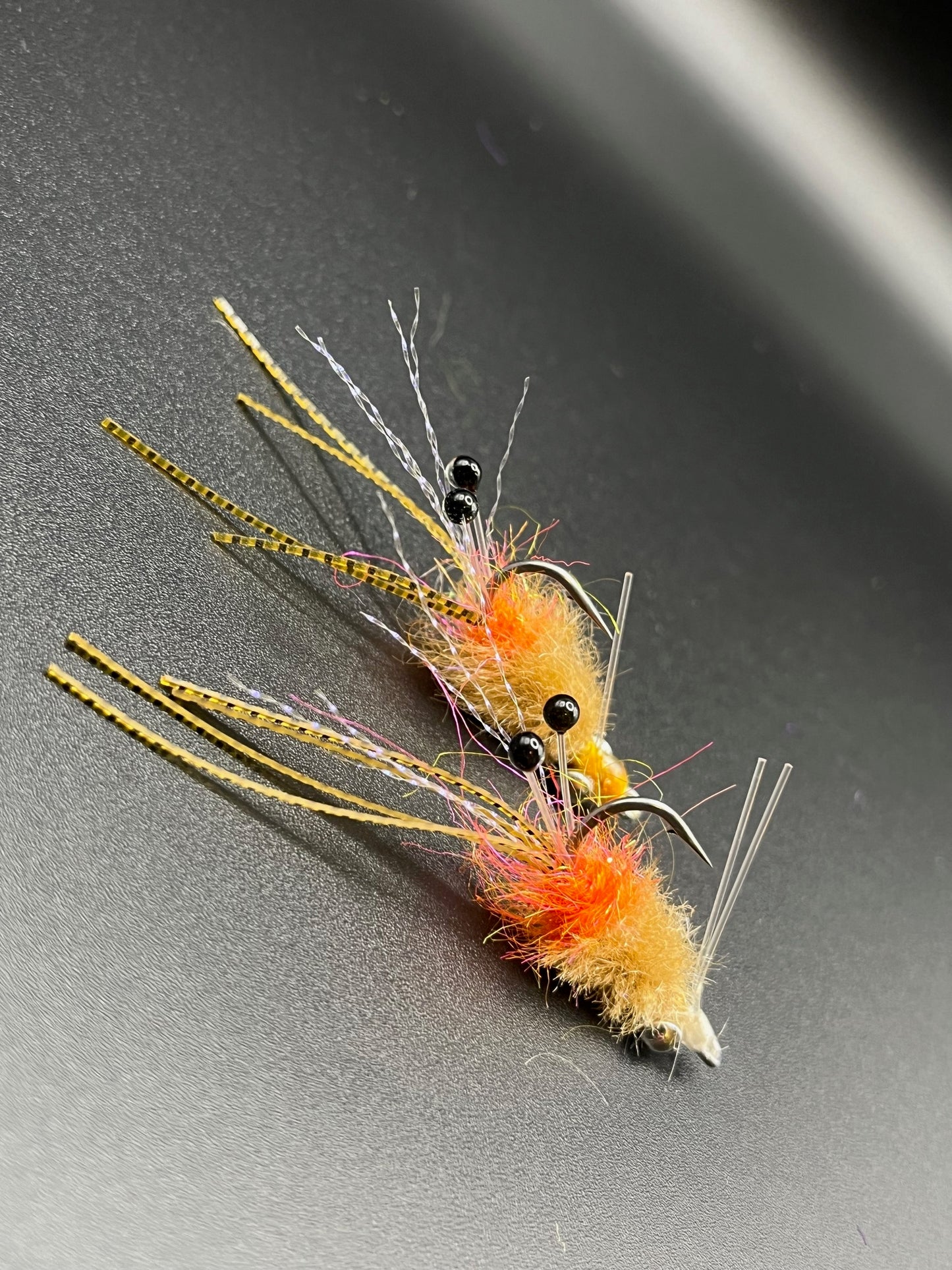 EP Spawning Shrimp